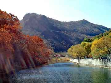 新澳天天开奖资料大全旅游团，月牙女鞋